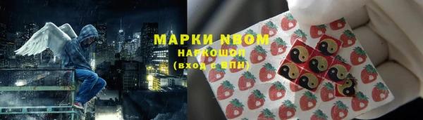 МДПВ Верхний Тагил
