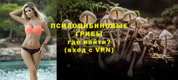 крисы Верея