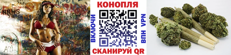 Канабис планчик  купить закладку  Хасавюрт 